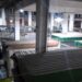 RENUEVAN TODA LA ILUMINACION INTERIOR DEL MERCADO HIDALGO