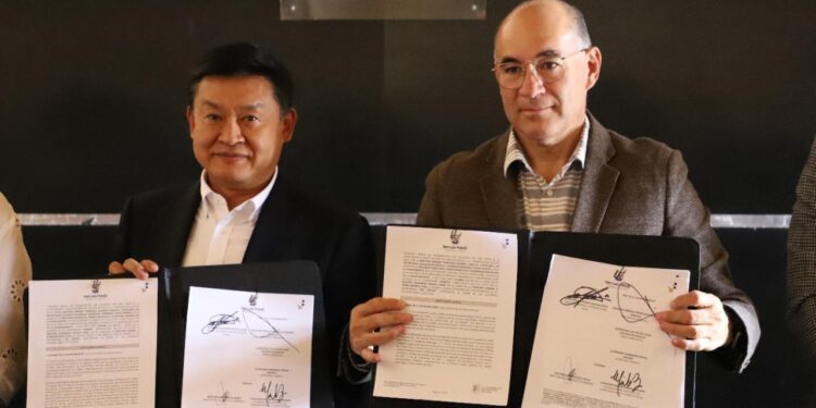 METODO KIZUKAI, HERRAMIENTA INNOVADORA PARA JOVENES EMPRENDEDORES POTOSINOS: GALINDO