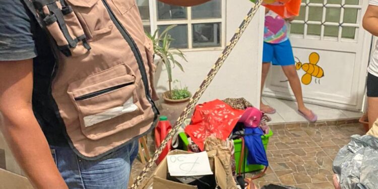 PC DE SOLEDAD ASEGURAN A VÍBORA EN LA COLONIA SAN FRANCISCO