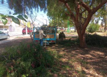 AYUNTAMIENTO DE SOLEDAD REALIZA LIMPIEZA EN COLONIA SAN LORENZO