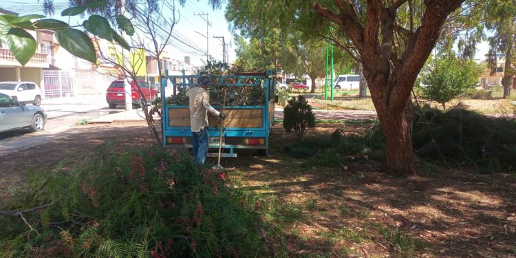 AYUNTAMIENTO DE SOLEDAD REALIZA LIMPIEZA EN COLONIA SAN LORENZO