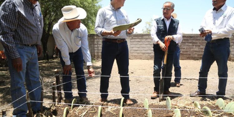 INVERTIRÁ MUNICIPIO 6 MILLONES EN PROMOCIÓN DE PRODUCCIÓN AGRICOLA EN BOCAS