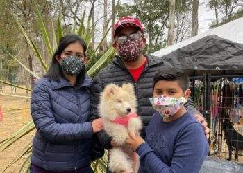 EN CENTROS DE DESARROLLO COMUNITARIO DE LA CAPITAL SE ESTERILIZARAN MASCOTAS