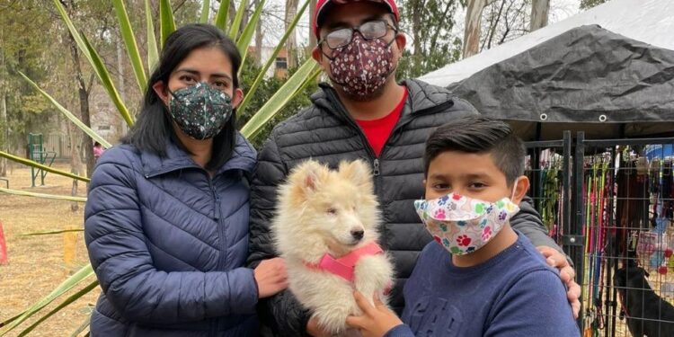 EN CENTROS DE DESARROLLO COMUNITARIO DE LA CAPITAL SE ESTERILIZARAN MASCOTAS