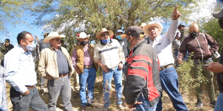 MONITOREO PERMANENTE AL CAMPO SOLEDENSE PARA ATENDER DAÑOS A CAUSA DE LA SEQUÍA