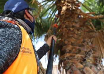 SIGUEN ACCIONES MUNICIPALES DE MEJORAMIENTO EN LA MANCHA URBANA Y EN LAS DELEGACIONES