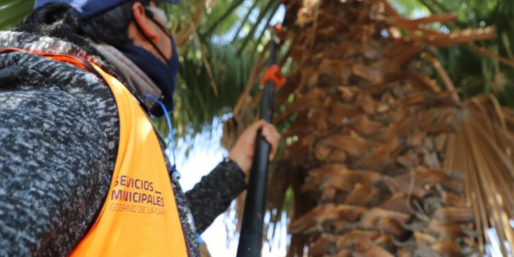 SIGUEN ACCIONES MUNICIPALES DE MEJORAMIENTO EN LA MANCHA URBANA Y EN LAS DELEGACIONES