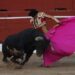 JUEZ DA SUSPENSIÓN DEFINITIVA Y FRENA LAS CORRIDAS DE TOROS EN LA PLAZA MÉXICO