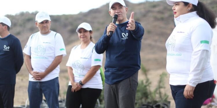 PROGRAMA DE REFORESTACION MUNICIPAL LOGRA ALIANZAS CON EMPRESAS Y CIUDADANIA