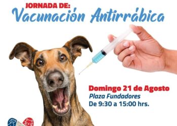 ESTE DOMINGO, MUNICIPIO APLICARÁ VACUNAS ANTIRRÁBICAS GRATUITAS ￼