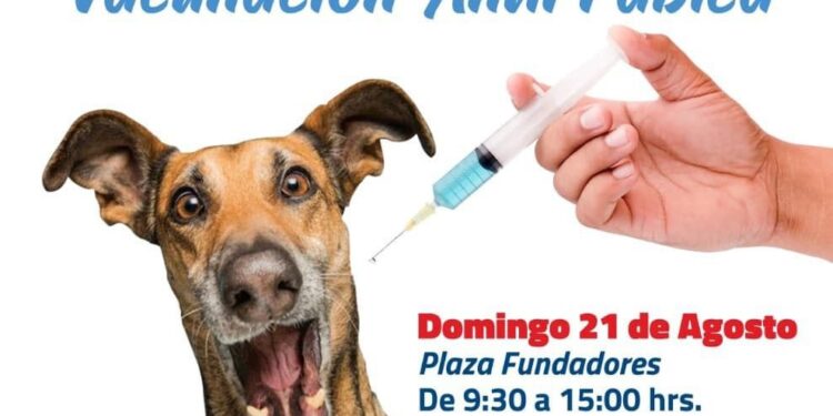 ESTE DOMINGO, MUNICIPIO APLICARÁ VACUNAS ANTIRRÁBICAS GRATUITAS ￼