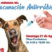 ESTE DOMINGO, MUNICIPIO APLICARÁ VACUNAS ANTIRRÁBICAS GRATUITAS ￼