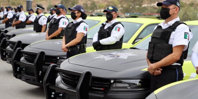 MES DE JULIO A LA BAJA LOS DELITOS DE ROBO EN LA CAPITAL