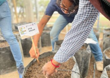 MUNICIPIO ARRANCA PROGRAMA DE HUERTOS URBANOS