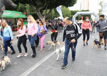 ORGANIZAN PRIMERA CARRERA ATLETICA CON PERROS ￼
