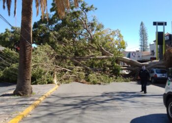 PROTECCIÓN CIVIL MUNICIPAL ACTIVA OPERATIVO EMERGENTE ANTE LOS FUERTES VIENTOS