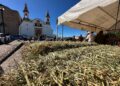 ENTREGA MUNICIPIO ESTÍMULOS A PRODUCTORES AGRÍCOLAS DE 33 COMUNIDADES RURALES DE LA CAPITAL