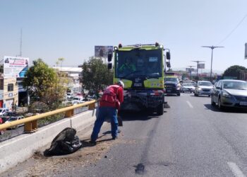 MUNICIPIO REALIZA LIMPIEZA EN AVENIDA SALVADOR NAVA