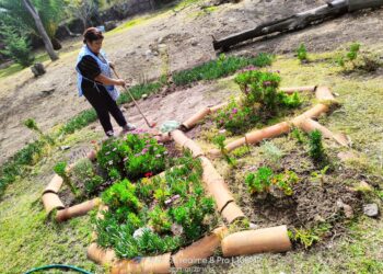 MUNICIPIO INCENTIVA LA CREACIÓN DE JARDINES POLINIZADORES