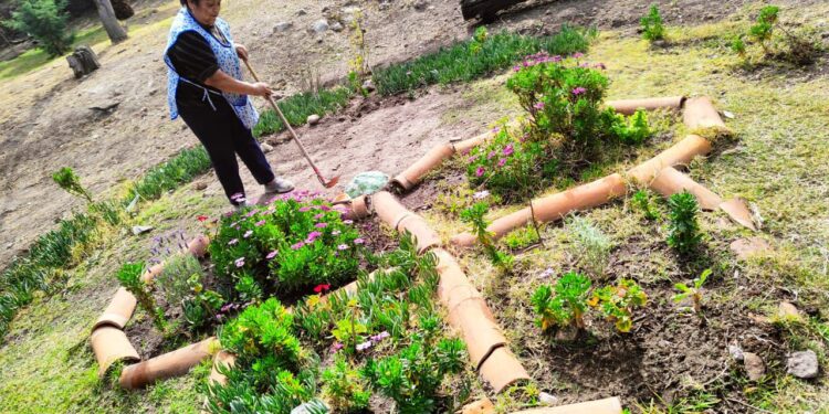 MUNICIPIO INCENTIVA LA CREACIÓN DE JARDINES POLINIZADORES