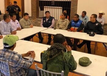POLICÍA MONTADA MUNICIPAL COLABORARÁ CON RECORRIDOS EN LA SIERRA DE SAN MIGUELITO