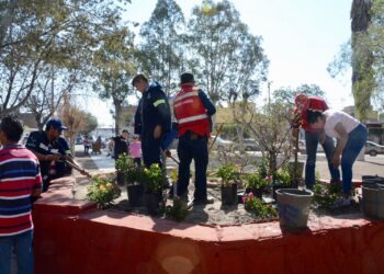 MUNICIPIO Y VECINOS UNEN ESFUERZOS PARA RESCATAR EL JARDÍN DE LA ROSA, EN LA COLONIA INDEPENDENCIA