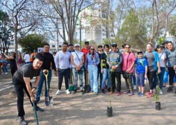 FOMENTA MUNICIPIO LA PRESERVACIÓN DE ÁRBOLES Y LA REFORESTACIÓN