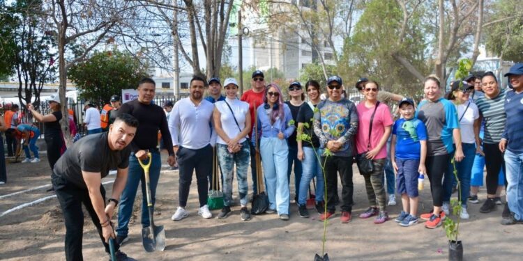 FOMENTA MUNICIPIO LA PRESERVACIÓN DE ÁRBOLES Y LA REFORESTACIÓN