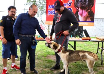 MUNICIPIO REFORZARÁ LAS ACCIONES EN FAVOR DEL BIENESTAR ANIMAL