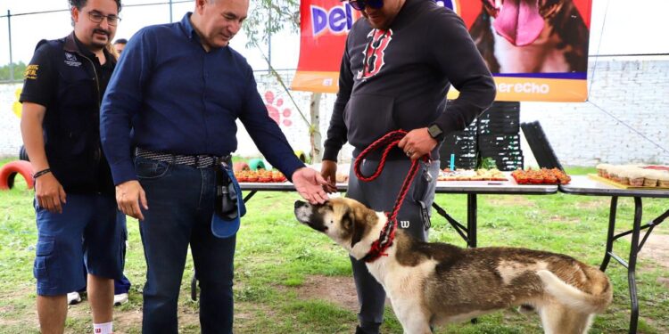 MUNICIPIO REFORZARÁ LAS ACCIONES EN FAVOR DEL BIENESTAR ANIMAL