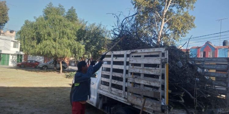 CUADRILLAS MUNICIPALES REALIZAN TRABAJOS NOCTURNOS DE MANTENIMIENTO