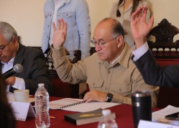 CABILDO MUNICIPAL CREA LAS COMISIONES DE ASUNTOS INTERNACIONALES Y ATENCIÓN A LAS DELEGACIONES MUNICIPALES