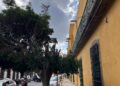 MUNICIPIO IMPONDRA SANCIONES A PODAS NO AUTORIZADAS DE ÁRBOLES