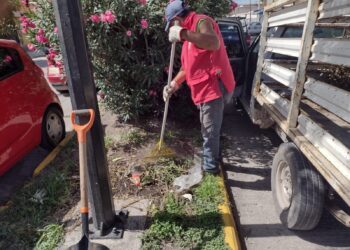 MUNICIPIO REFUERZA PROGRAMA DE LIMPIEZA Y MANTENIMIENTO EN CALLES Y AVENIDAS