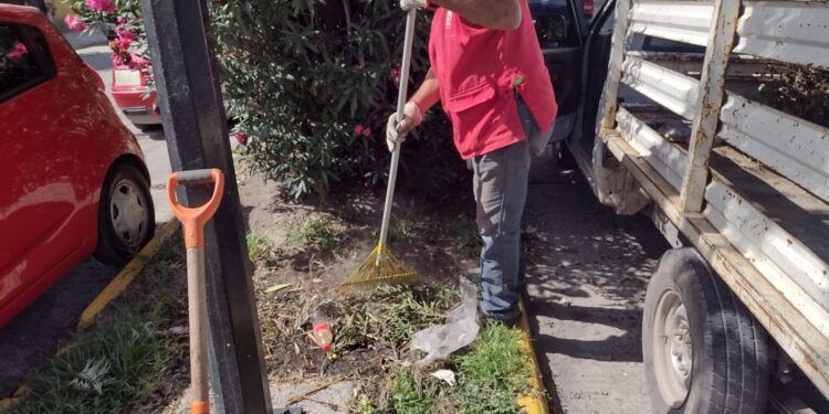 MUNICIPIO REFUERZA PROGRAMA DE LIMPIEZA Y MANTENIMIENTO EN CALLES Y AVENIDAS