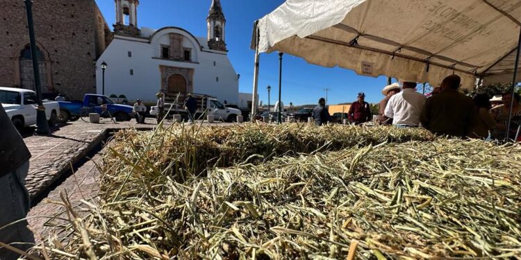 MUNICIPIO REPORTO EN 2024 UN FUERTE IMPULSO A LA ZONA RURAL DE LA CAPITAL