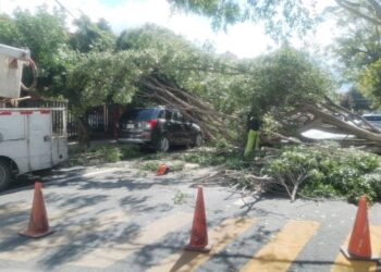 ATIENDE PROTECCION CIVIL MUNICIPAL CAIDAS DE ARBOLES POR FUERTES VIENTOS