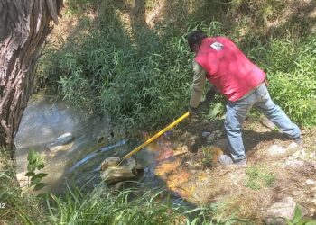 MUNICIPIO ENVIA CUADRILLAS PARA LIMPIAR CAUCES PLUVIALES