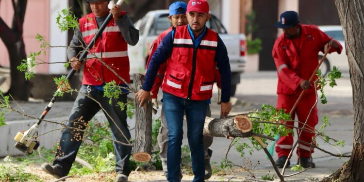 MUNICIPIO MEJORA LA COLONIA ARBOLEDAS DE TEQUIS