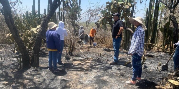 MUNICIPIO ATIENDEN INCENDIOS DE ESTA TEMPORADA EN LA DELEGACION DE BOCAS
