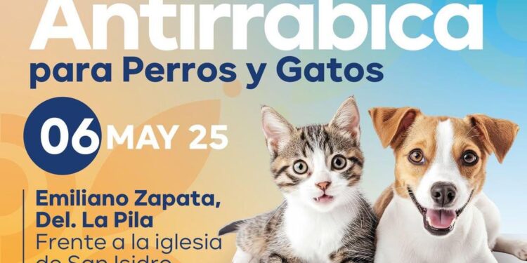 REALIZAN JORNADA DE VACUNACIÓN ANTIRRÁBICA ESTE MARTES EN LA DELEGACIÓN LA PILA
