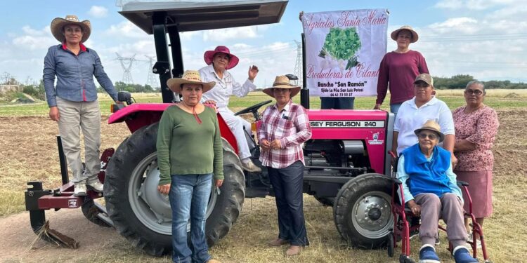 DECIDIDO IMPULSO DEL GOBIERNO MUNICIPAL AL CAMPO