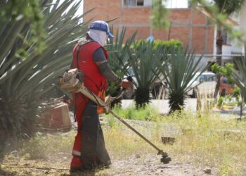 MUNICIPIO REVITALIZA VALLE CAMPESTRE CON LIMPIEZA Y MANTENIMIENTO INTEGRAL