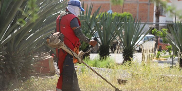 MUNICIPIO REVITALIZA VALLE CAMPESTRE CON LIMPIEZA Y MANTENIMIENTO INTEGRAL