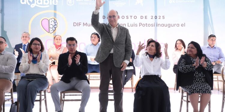 CENTRO MUNICIPAL DE SALUD MENTAL DE SAN LUIS CAPITAL UN ESAPCIO DE APOYO SICOEMOCIONAL