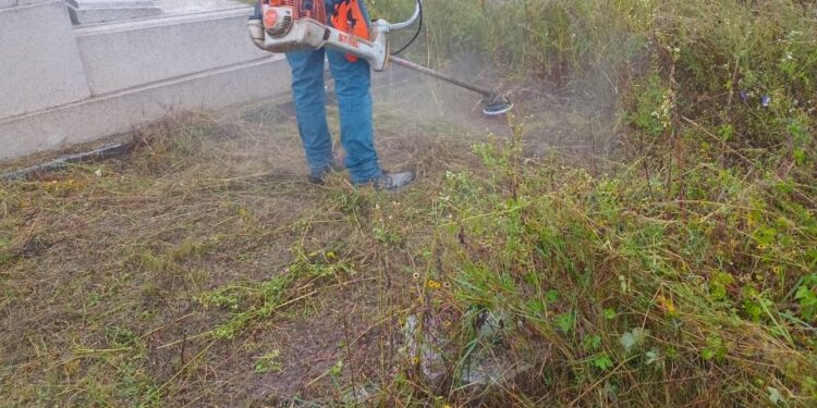 LIMPIAN Y RETIRA MALEZA DEL PANTEÓN EL SAUCITO