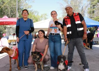 GARANTIZAN ACCIONES PARA EL BIENESTAR ANIMAL: REGIDORA