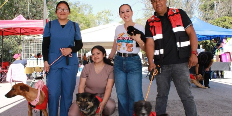 GARANTIZAN ACCIONES PARA EL BIENESTAR ANIMAL: REGIDORA