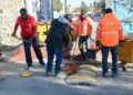 LLEVA MUNICIPIO EL DOMINGO DE PILAS A LA COLONIA MORALES