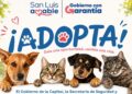 REALIZARÁN JORNADA DE ADOPCIÓN RESPONSABLE DE MASCOTAS
